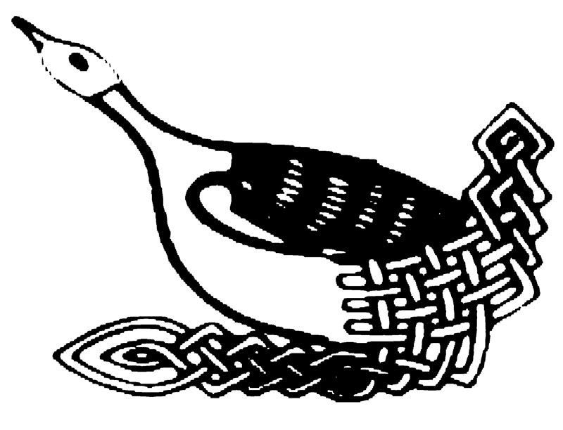 Celtic goose