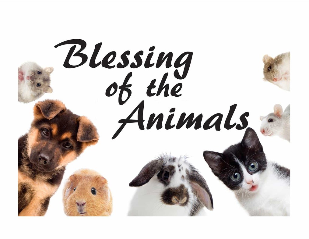 BlessingOfAnimals